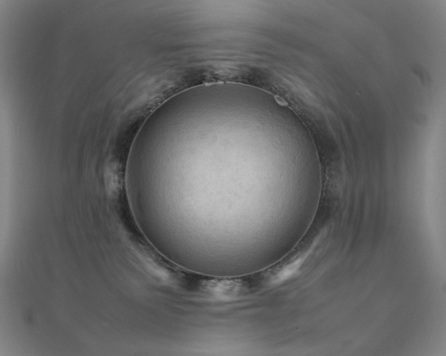 X0000112090135200908041458