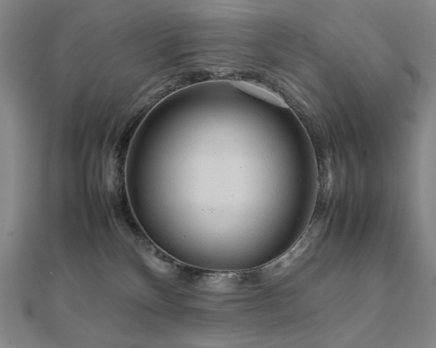 X0000112090136200908041458