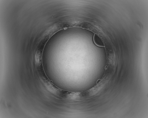 X0000112090138200908041458