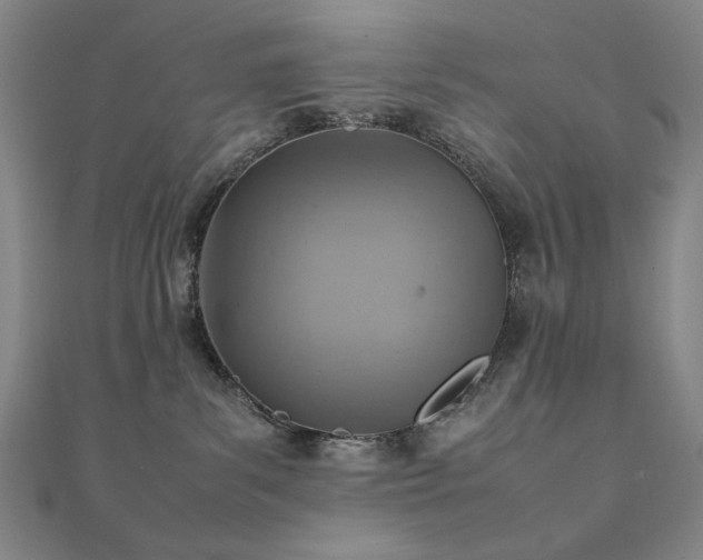 X0000112090139200908041458