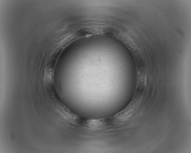 X0000112090141200908041458