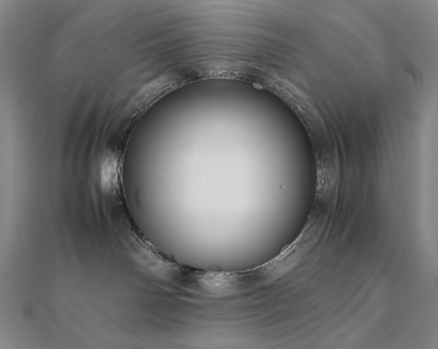 X0000112090142200908041458