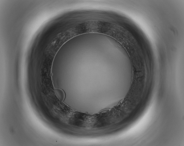 X0000112090143200908041458