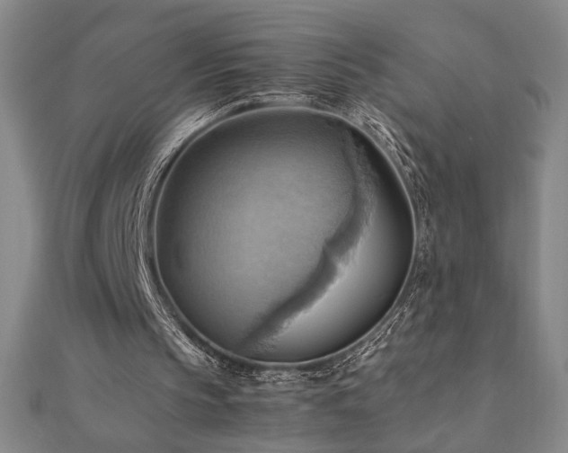 X0000112090145200908041457