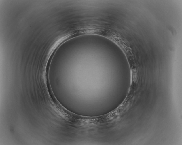 X0000112090147200908041457