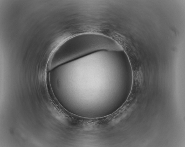 X0000112090148200908041457