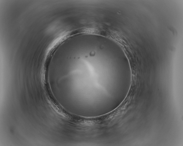 X0000112090149200908041457