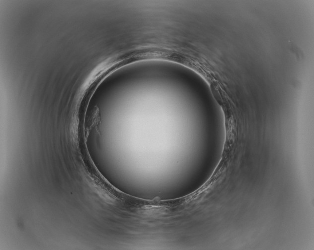 X0000112090150200908041457