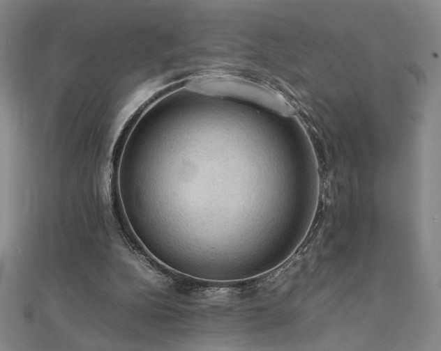 X0000112090152200908041457