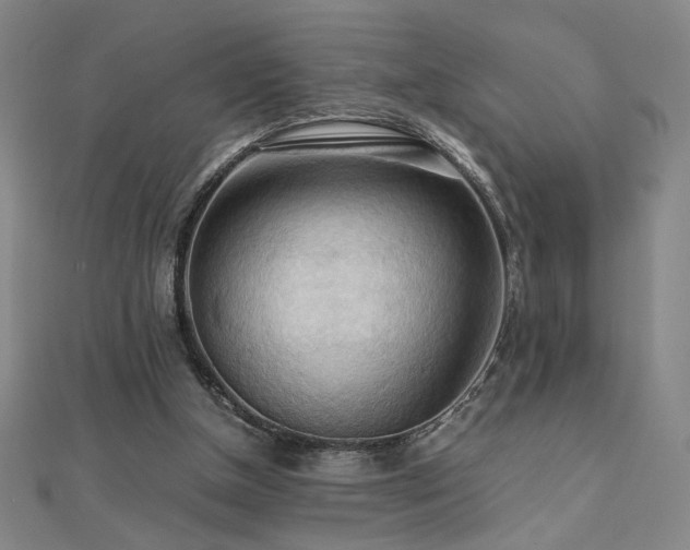 X0000112090154200908041457
