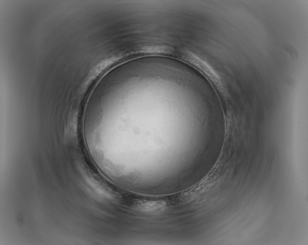 X0000112090155200908041457