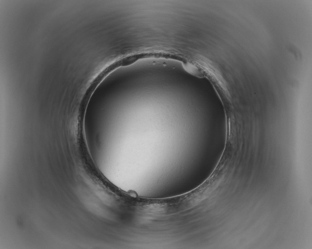 X0000112090156200908041457