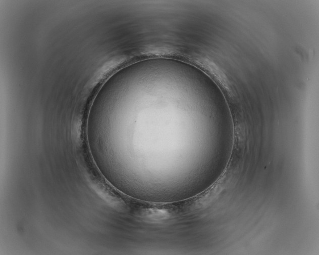 X0000112090159200908041457