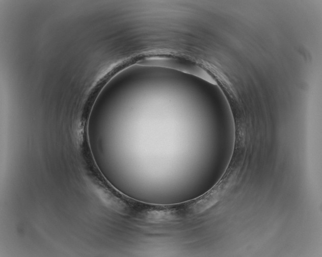X0000112090160200908041457