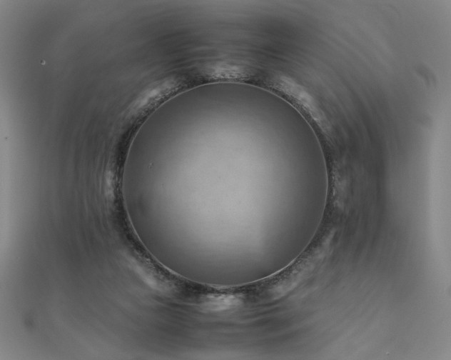 X0000112090161200908041457