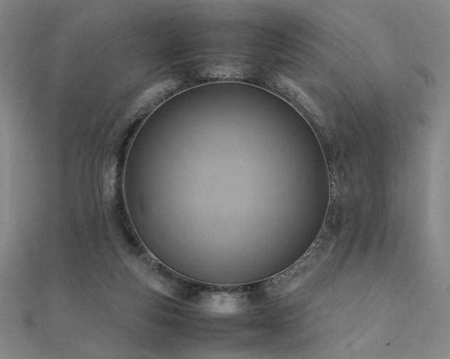 X0000112090163200908041457