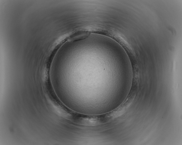 X0000112090164200908041457