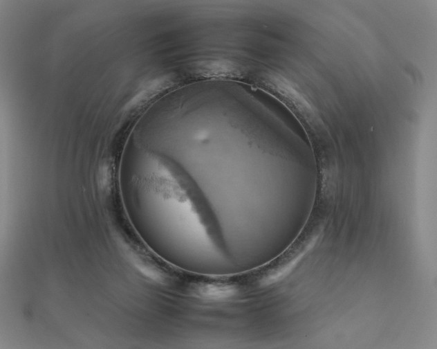 X0000112090165200908041457