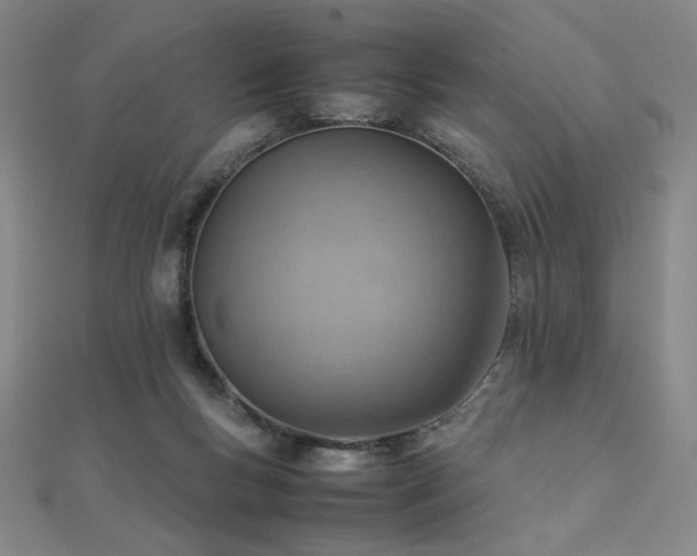 X0000112090167200908041457