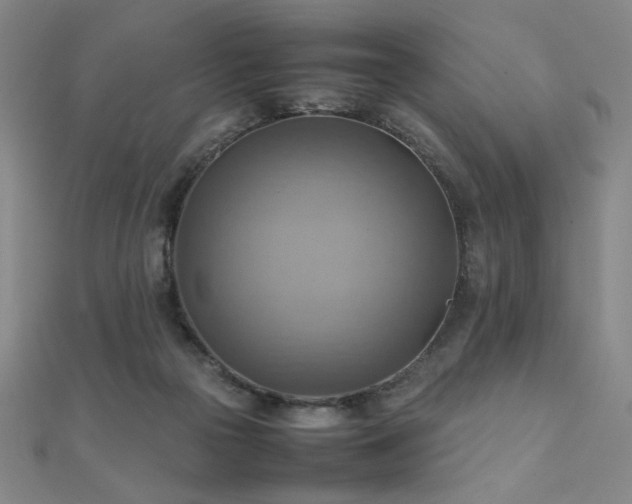 X0000112090169200908041458