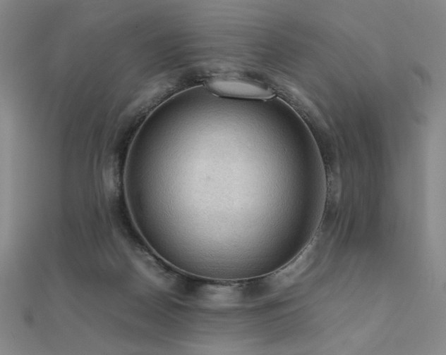 X0000112090170200908041458
