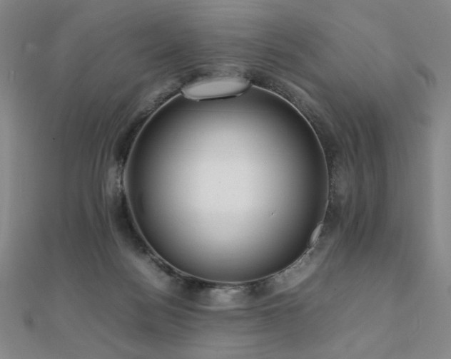 X0000112090172200908041458