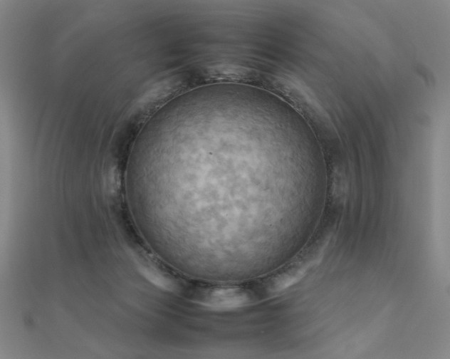 X0000112090173200908041458