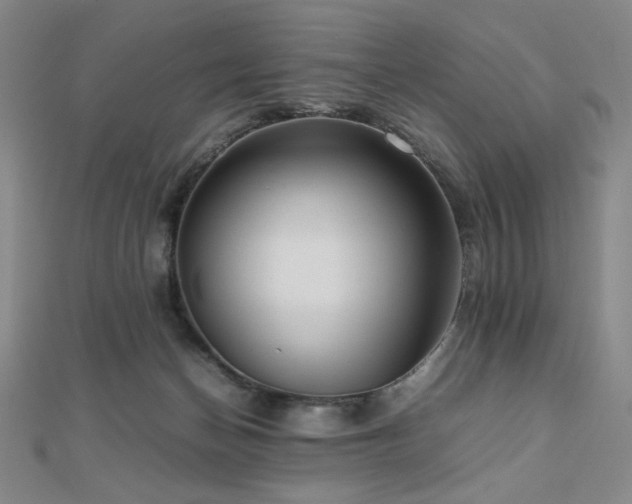 X0000112090174200908041458