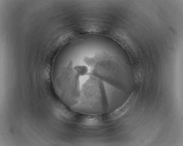 X0000112090175200908041458