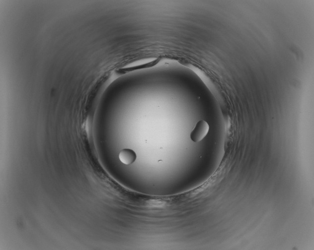 X0000112090176200908041458