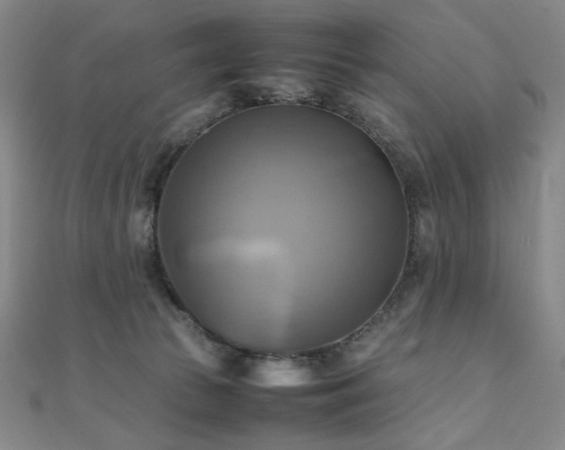 X0000112090177200908041458
