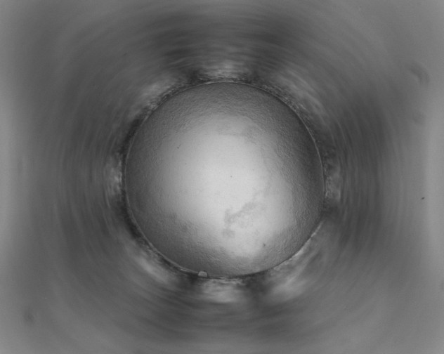 X0000112090179200908041458