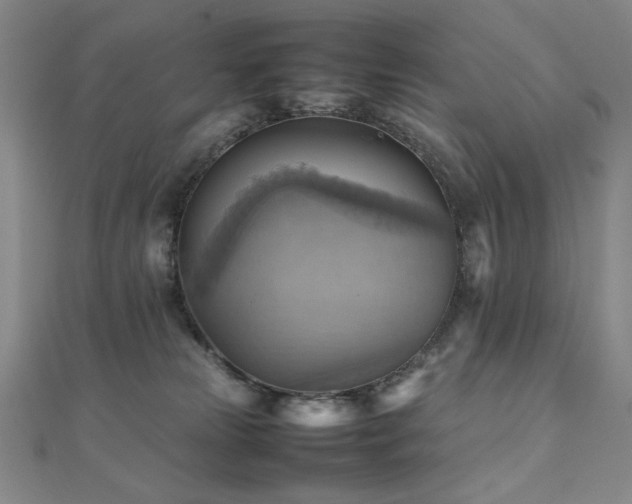 X0000112090181200908041458