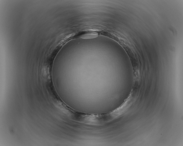 X0000112090182200908041458