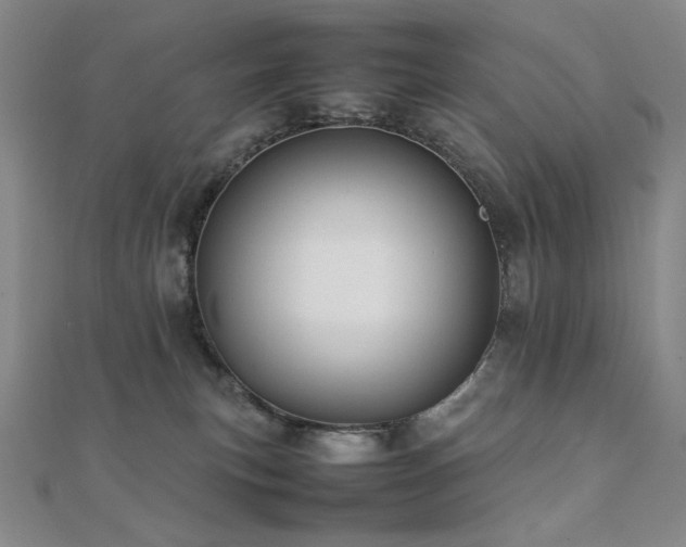 X0000112090183200908041458