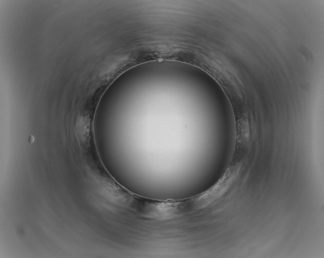 X0000112090184200908041458
