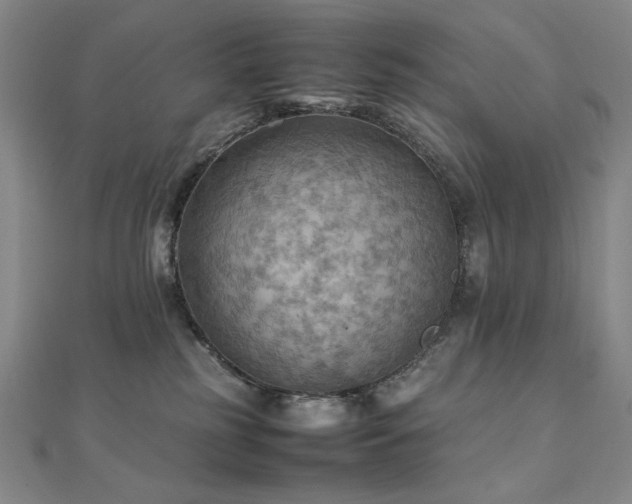 X0000112090185200908041458
