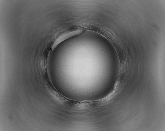 X0000112090186200908041458