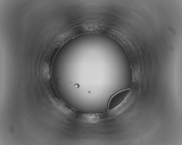 X0000112090187200908041458