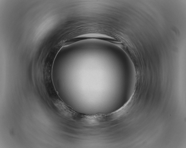 X0000112090190200908041458