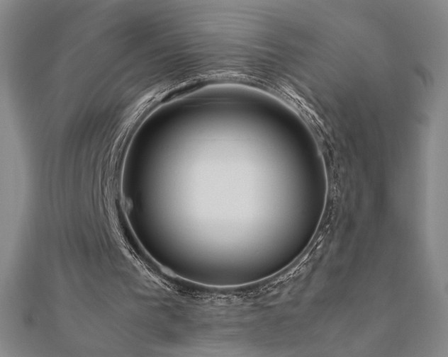 X0000112090193200908041457