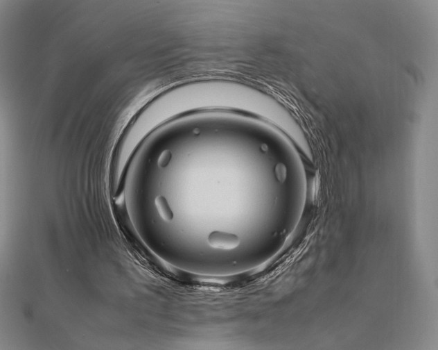 X0000112090195200908041457