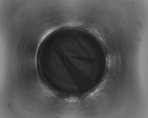 X0000112090196200908041457