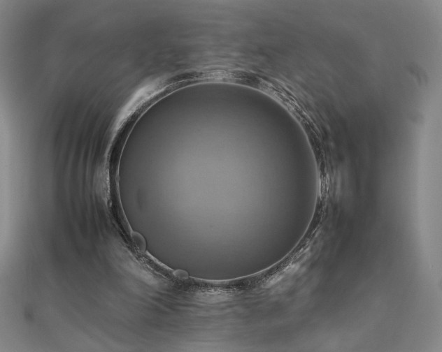 X0000112090198200908041457