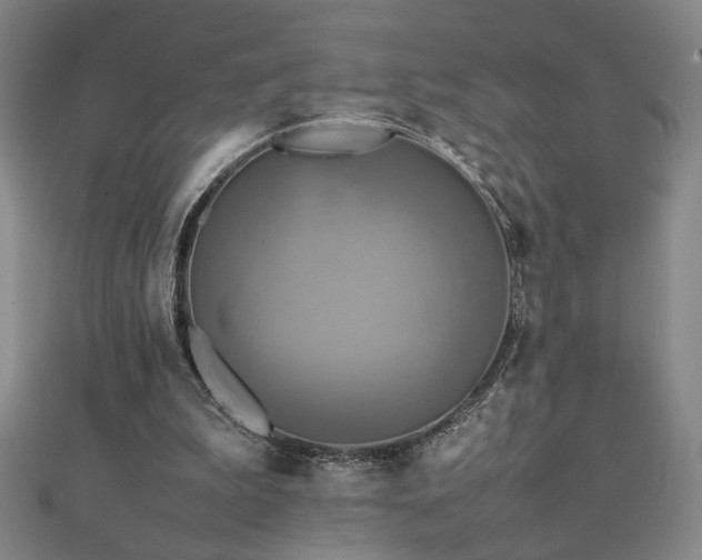 X0000112090199200908041457