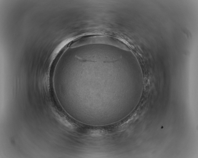 X0000112090200200908041457