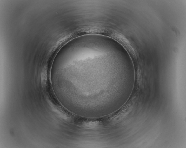 X0000112090202200908041457