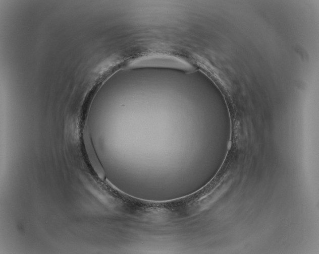 X0000112090203200908041457