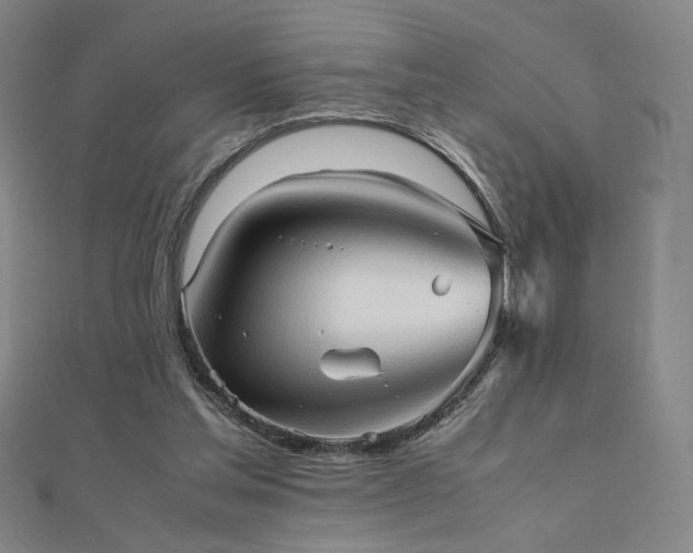 X0000112090205200908041457