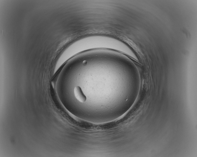 X0000112090207200908041457